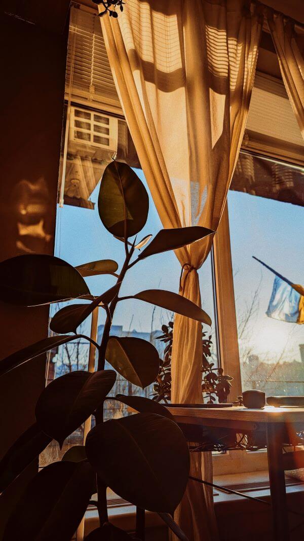 Lumière naturelle du matin dans un salon pensé pour le bien-être intérieur